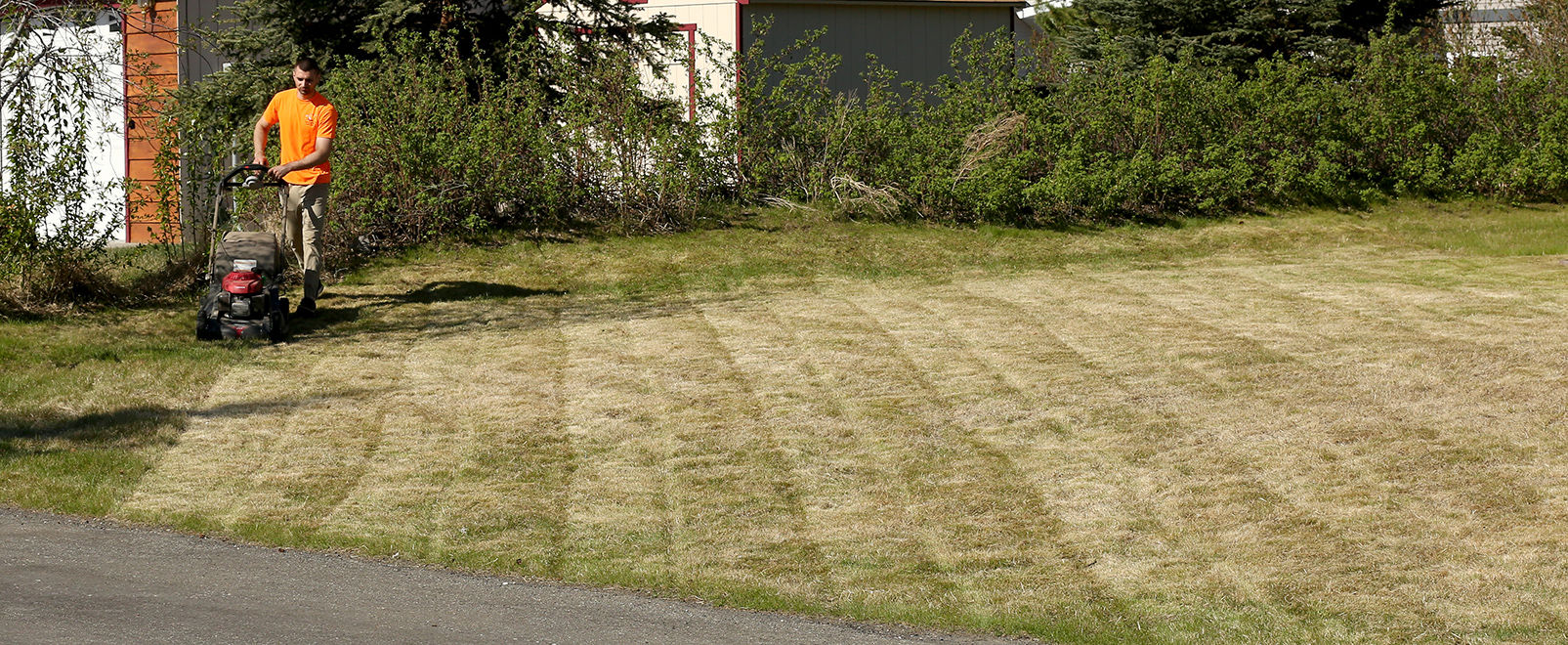 Business Spotlight: Lawn Enforcement